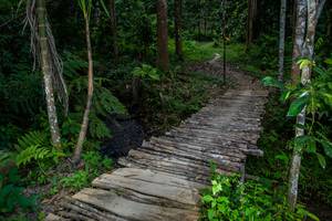 BIB: 
                            <button type="button" onclick="openModal(21893369)" class="btn btn-primary btn-sm float-right btn-popup" data-toggle="modal" data-target=".modal-high-quality">
                        <i class="fas fa-shopping-cart"></i> Add to Cart
                    </button>
                                            <button type="button" onclick="isThisMe(21893369, true)" class="btn btn-success btn-sm float-right btn-popup btn-isme hidden" data-toggle="tooltip" data-placement="bottom" title="นี่คือรูปของคุณใช่ไหม คลิกที่นี่เพื่อเอาเข้าอัลบั้ม">
                        <i class="fas fa-plus"></i> Add to album
                    </button>
                    <button type="button" onclick="isThisMe(21893369, false)" class="btn btn-warning btn-sm float-right btn-popup btn-isnotme hidden">
                        <i class="fas fa-ban"></i> Remove from album
                    </button>